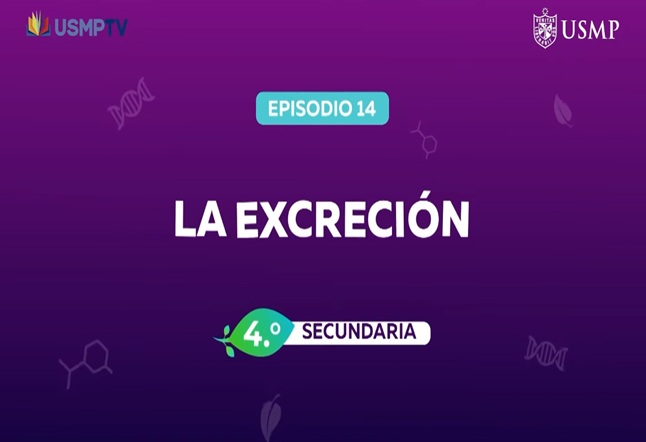 Capítulo N° 14 - La Excreción